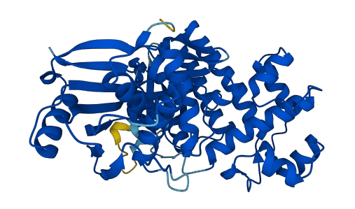 GALK2 3D structure
