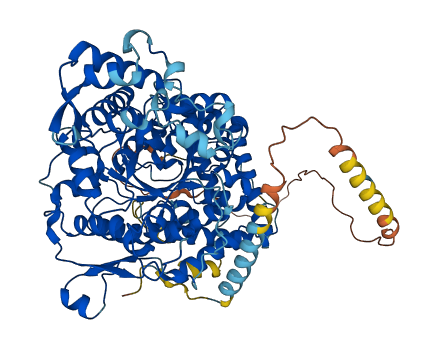 AMPD3 3D structure