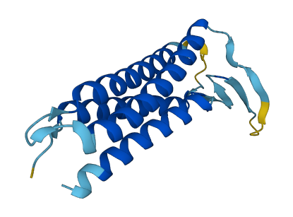 PMP22 3D structure