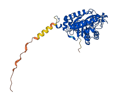 CTBS 3D structure