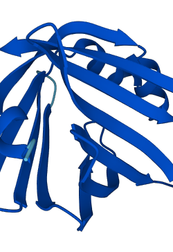 FABP5 3D structure