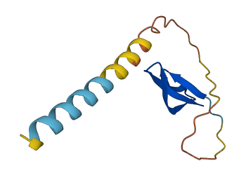DEFA5 3D structure