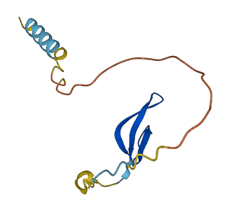 DEFA6 3D structure
