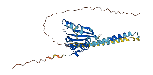 TSPY1 3D structure
