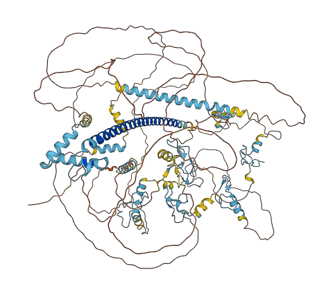 MYT1 3D structure