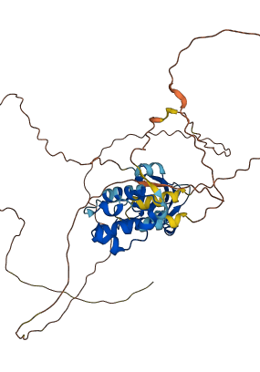 FLI1 3D structure