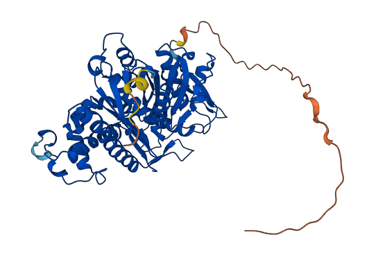 HMGCS1 3D structure
