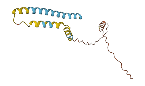 IFITM3 3D structure