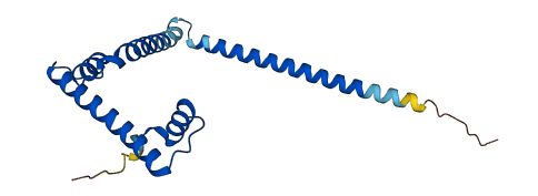 DR1 3D structure