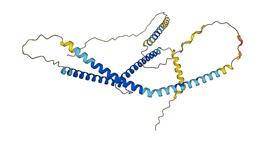 TFAP4 3D structure