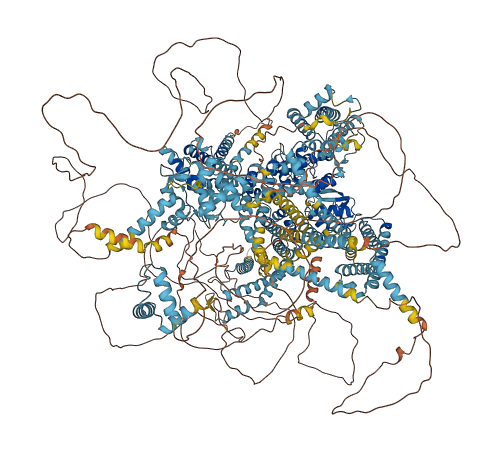 CACNA1D 3D structure