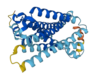 MC2R 3D structure