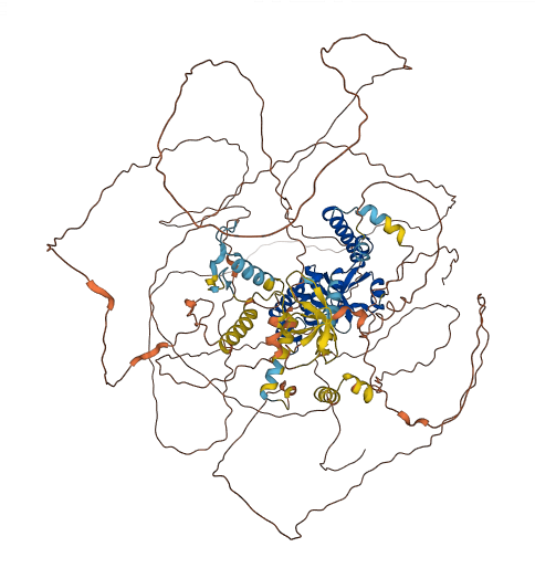 OTUD4 3D structure