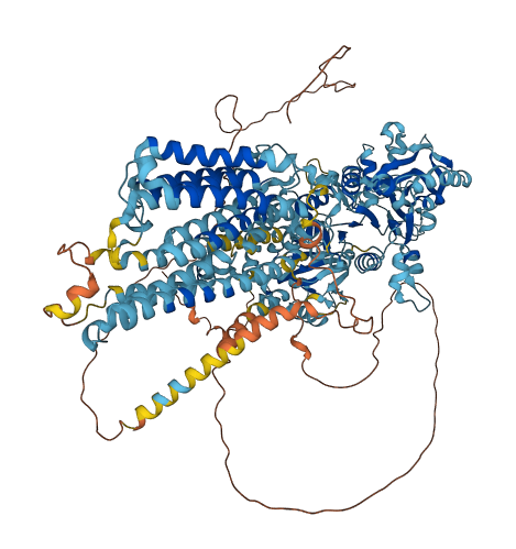 ATP2B2 3D structure