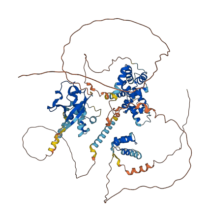 SATB1 3D structure