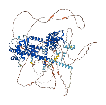 XPC 3D structure