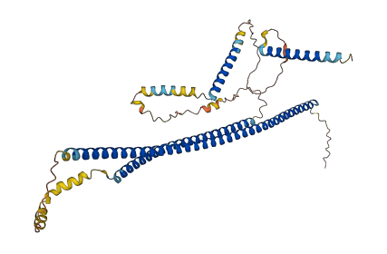 CDR2 3D structure