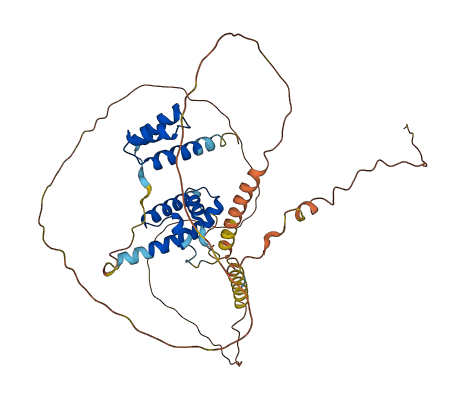 POU4F1 3D structure