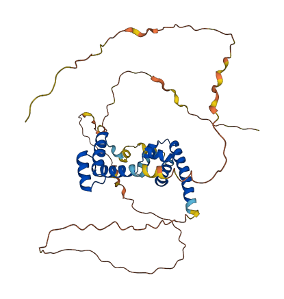 POU5F1 3D structure