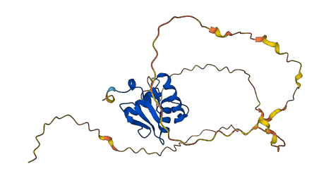 SPIB 3D structure