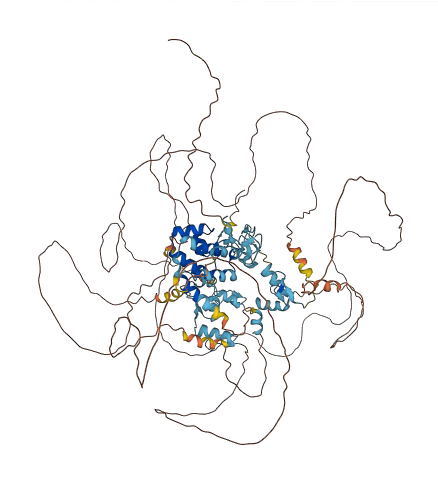 BNC1 3D structure