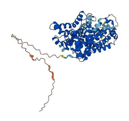 SLC6A3 3D structure