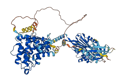 OCRL 3D structure