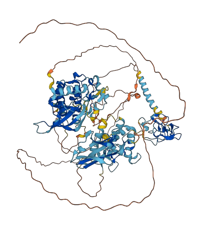 ROR1 3D structure