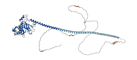 AKAP17A 3D structure