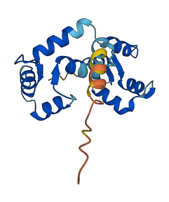 MYL5 3D structure