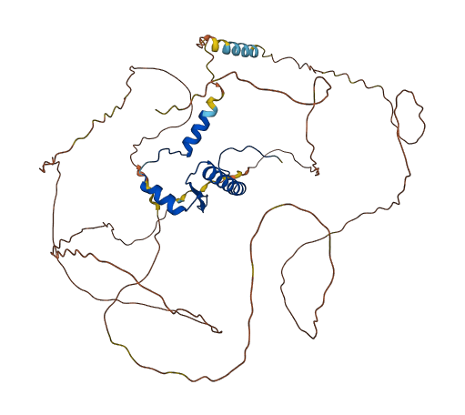 MEF2A 3D structure