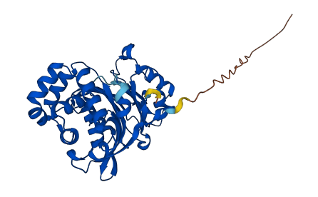 NAAA 3D structure