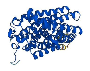RHAG 3D structure