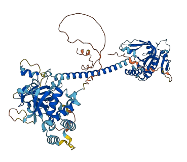 GUCY1A1 3D structure