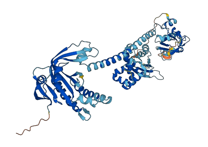 GUCY1B1 3D structure