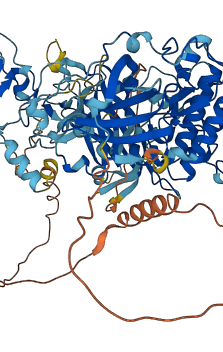 PRKCE 3D structure