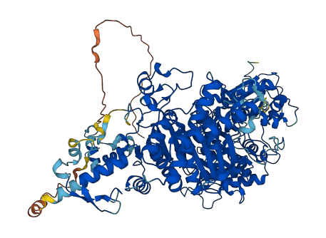 OGDH 3D structure
