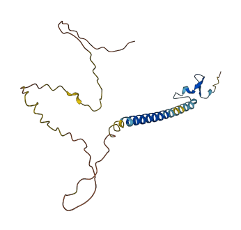 TNFRSF17 3D structure