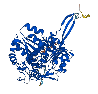 ALDH6A1 3D structure