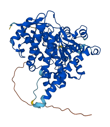 CYP27A1 3D structure