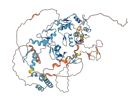 Zfp39 3D structure