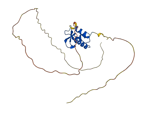 H1-1 3D structure