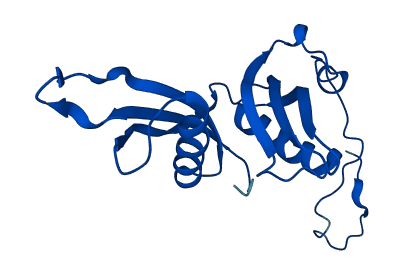 RPL18A 3D structure