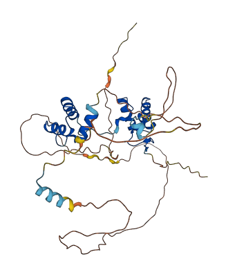 PAX5 3D structure