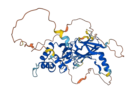 IRF8 3D structure