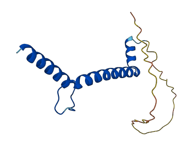 NHLH1 3D structure