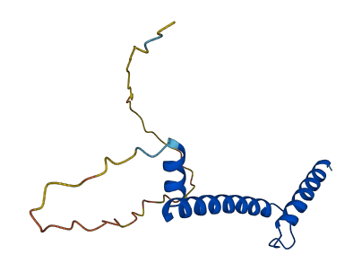 NHLH2 3D structure