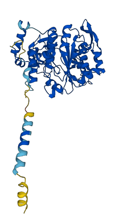 GCNT1 3D structure