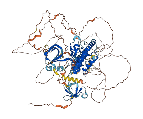 MAP3K10 3D structure