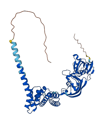 FKBP4 3D structure